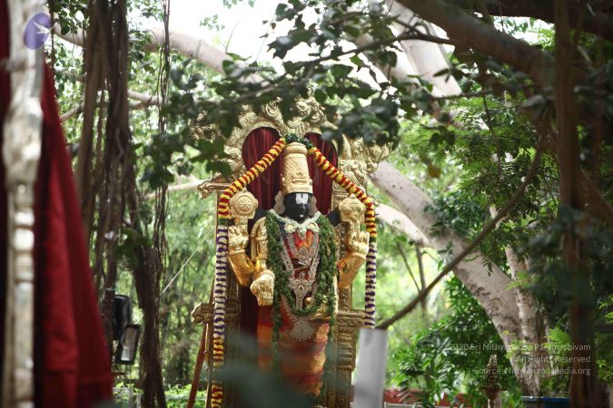 20171012 Photo 1010 1fYKq0gUxodoIr5tJgEc0SJwvLZFa3vUB.JPG