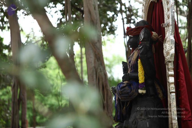 20171012 Photo 1012 1jt8fAOpo63zPduAl6iM2jOa8k7OOlwt4.JPG