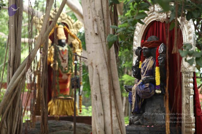 20171012 Photo 1015 1vaf1Q5JcC2xTxr1d818Y7UKR6ST5KElN.JPG