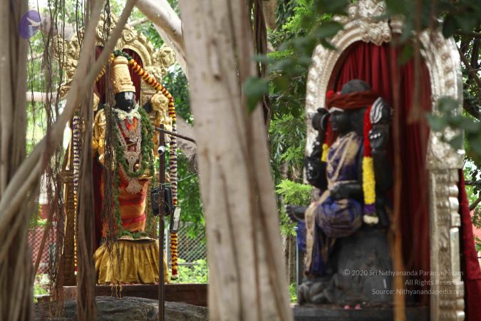 20171012 Photo 1018 1xgZT-dNx9jN3rqPEvPpredmwMMCH7XMI.JPG