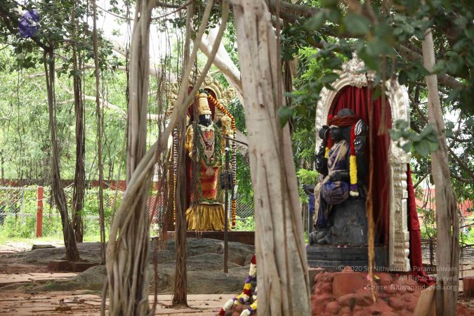 20171012 Photo 1019 1a7BmoKgkmB05R5seP6sCdC51z8l3fqDU.JPG