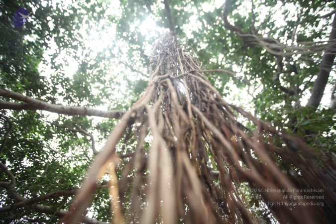 20171012 Photo 1035 1hGKc4QQTEPtYvSBEpx3qDK2MZ9uQjLrV.JPG