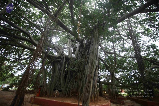 20171012 Photo 1038 1qrmEMpYpSEZ9KUrbkzVidN9iN28zmsyL.JPG