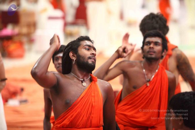 20171012 Photo 1393 1dIS4pF-5pNNURoRBXZjecplSvZB8cmMS.JPG