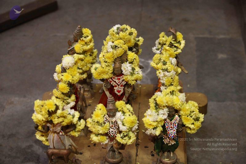 File:20171018 Photo 1006 1KBQdgDQpv69j0HGhfEidrXUS3DPZkLTs.JPG