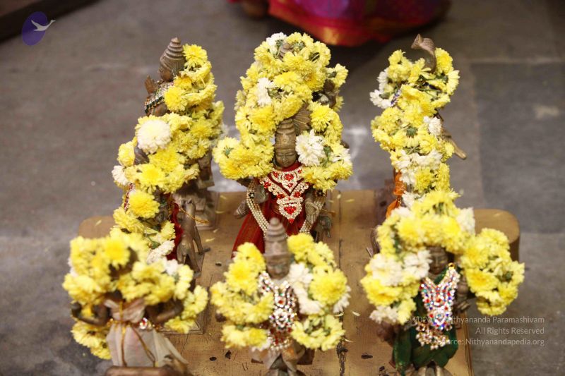 File:20171018 Photo 1009 1ZsvbhmMwTdHprHIZTpfWlEMcOKsJG M7.JPG