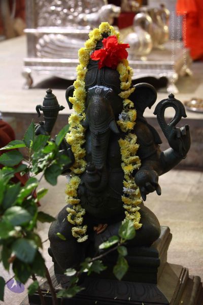 File:20171018 Photo 1013 1L7gZytJA130AVSdVeDf4r9o W0ppa-yY.JPG