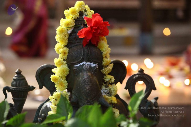 File:20171018 Photo 1019 1mdPiJp1Kq~w74bRWRUD-tjJM22BiTix.JPG