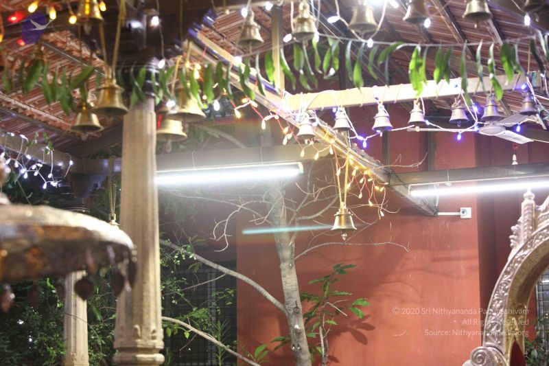 File:20171018 Photo 1020 124r7zQ0ZWCof39pQJ8E7vX73a9AGST6T.JPG