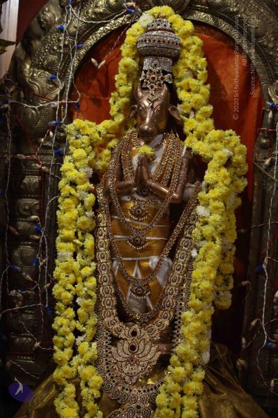 File:20171018 Photo 1035 1JAPjQcuCXYhvHmhKSS8AZyIvQe-RNnCc.JPG