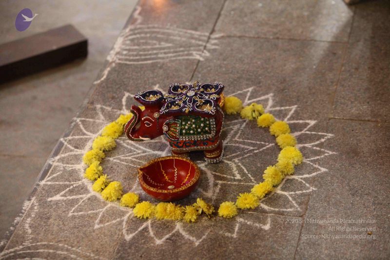 File:20171018 Photo 1039 1Jo3FOn4gSToTBjYPsefbxZ17WMsW0oKK.JPG