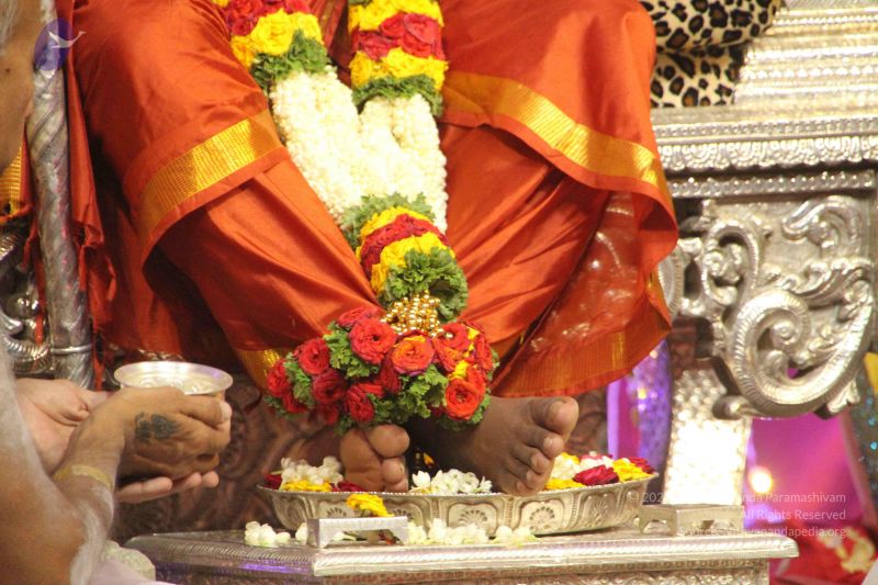 File:20171018 Photo 1270 1zS409QnumIH746mRGHPYljIMEI86Clga.JPG