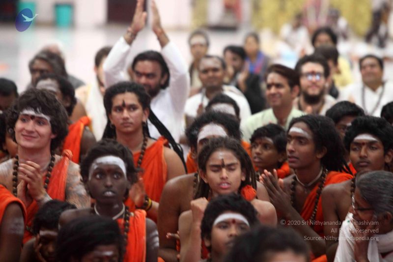 File:20171108 Photo 1105 1PcfaB3xxab5OEUKba2P6SCPORQvtHGeD.JPG