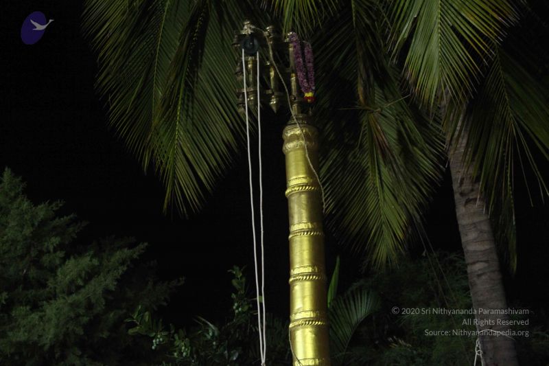 File:20171111 Photo 1012 1-Re6EGDr4aaG7S38RaGolE2iishHRG5r.JPG