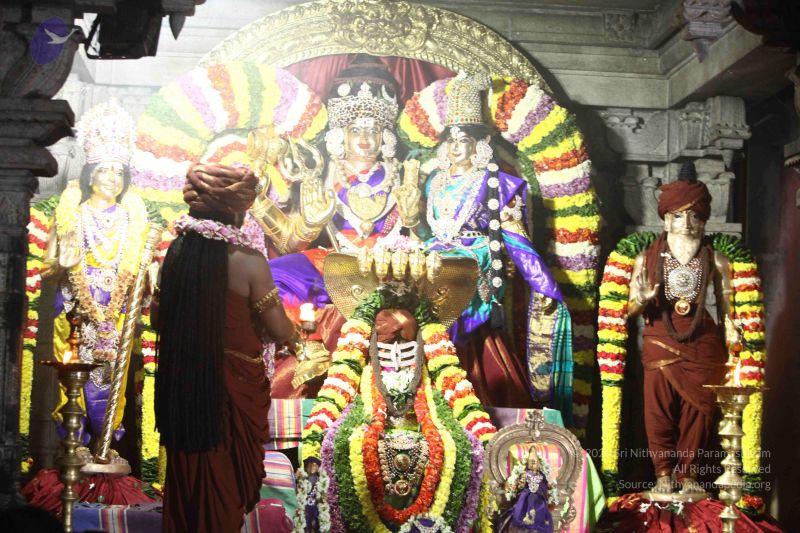 File:20171111 Photo 1108 1Zz7VJDodnohtJQK EtMbZCs4UQFrsjwW.JPG