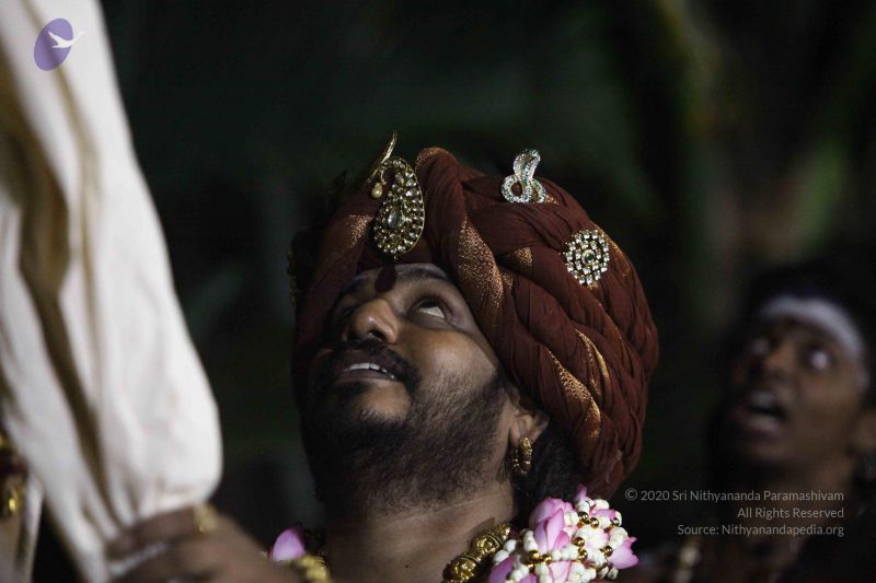 File:20171111 Photo 1219 1sl38VgN1DgwCo2qHPXfC-voQfBWBVxp7.JPG