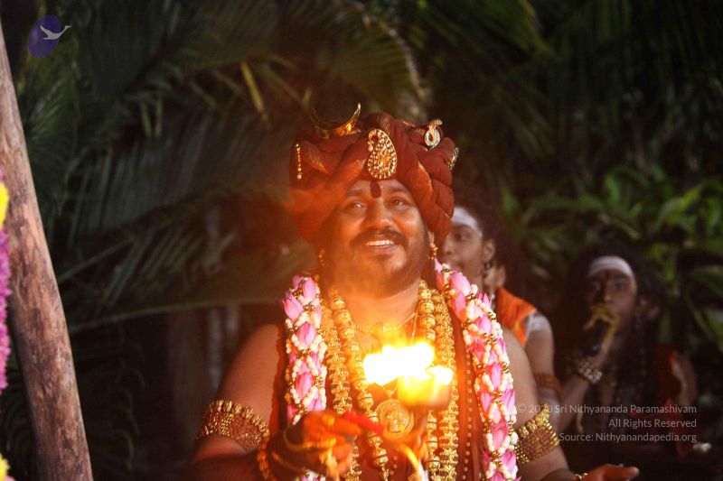File:20171111 Photo 1289 1bEpDr5yhrOxdzUDqHGVXj-uQeThwG2U1.JPG