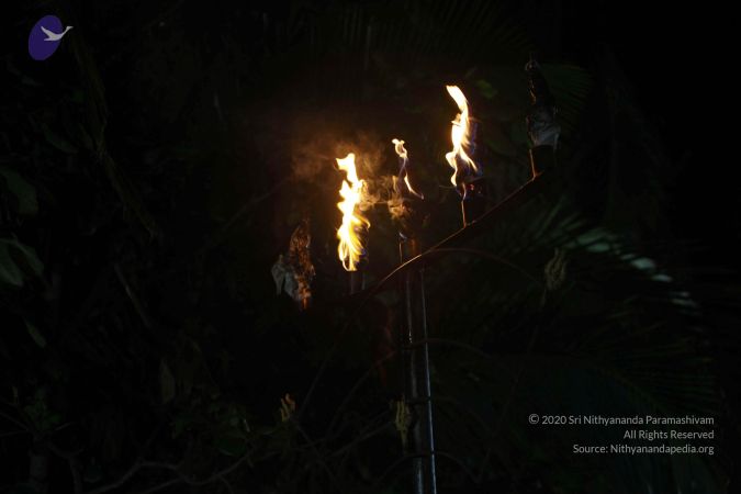 20171115 Photo 1001 15E7g-w8BbN75u5impVLr0MeC-dgWNRga.JPG