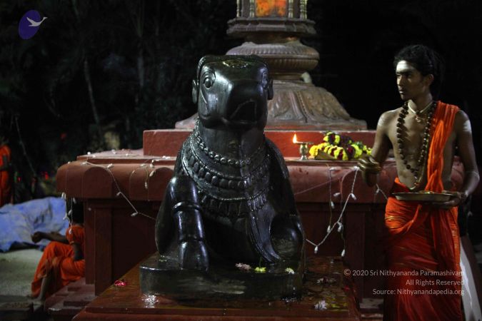 20171115 Photo 1003 1dH6f2h8duAePBBCkQsCWDChVtJpiA9so.JPG