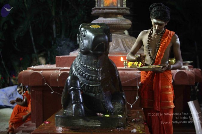 20171115 Photo 1004 1OnkKS5tVDBykD61V0bByOYzbyzrmuH-p.JPG