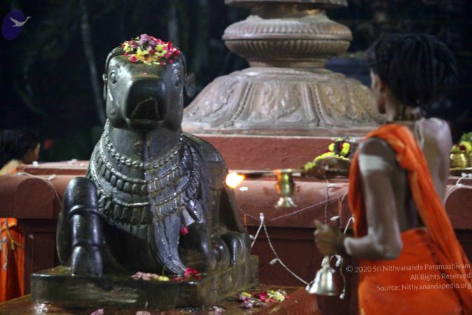 20171115 Photo 1011 19bJH7zeT7y4AxCYHqxloxu ha-q5eNYZ.JPG