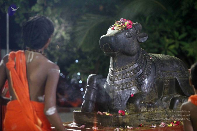 20171115 Photo 1014 1rPxlazKn6JNhBGfzQe-uOCkw PArYNz2.JPG