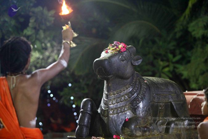 20171115 Photo 1016 1YfyiJAkM0PLUtuh-QJYKHTGvRjUi729N.JPG