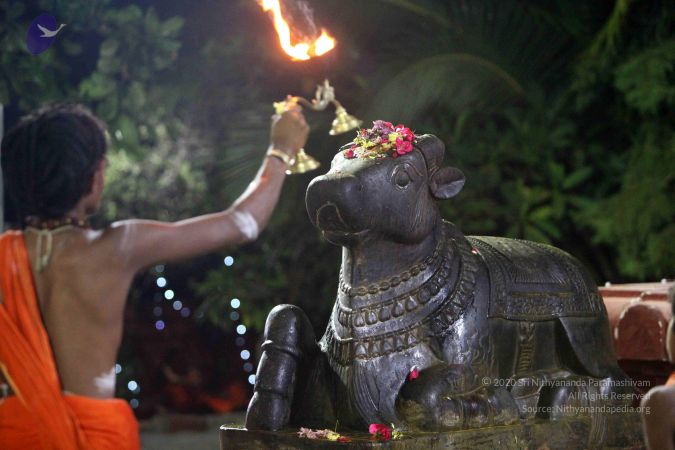 20171115 Photo 1017 1jj1Mjj7y i0jUrXo1jn0dNS2fim7zTPl.JPG