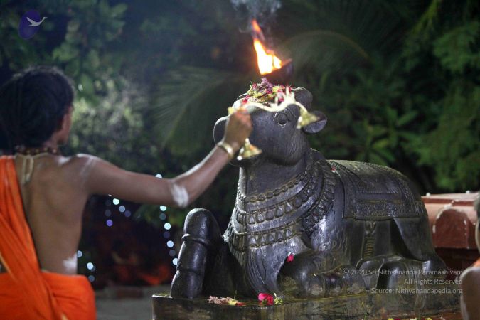 20171115 Photo 1018 1Dy0lpSgqylhksaPXV0wpJVf78W5sVqre.JPG