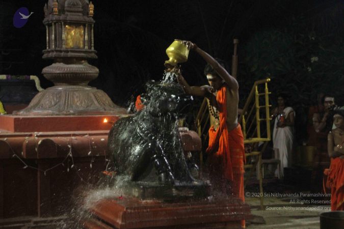 20171115 Photo 1232 1o0eaQUISuwSroq2tV6QG6qf5wy8heY8J.JPG