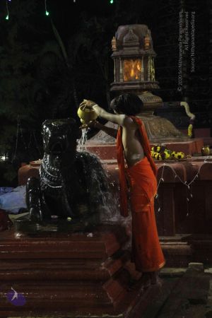 20171115 Photo 1233 1uvha-bexg ZnTPKIiANGuQGQgzZI8I4B.JPG