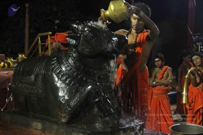 20171115 Photo 1237 117rbPRhMosWPnoKoDW2uB8PBujlb5cI4.JPG