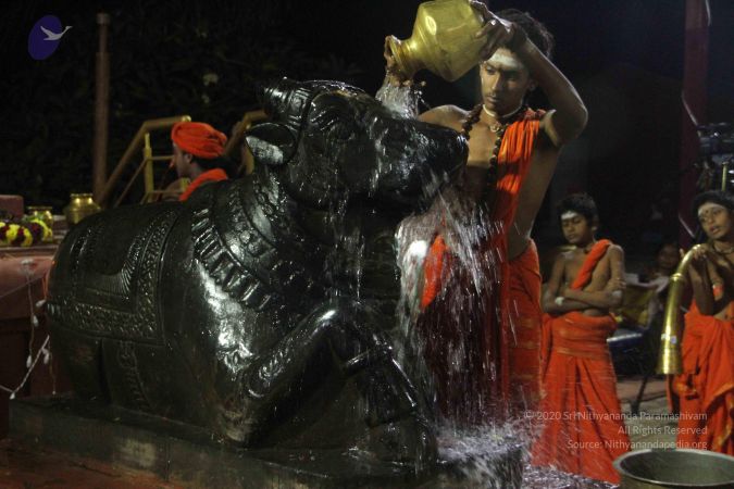 20171115 Photo 1238 1q9CG0xzg-F12pfdljI4vzIF0RMEWztz0.JPG