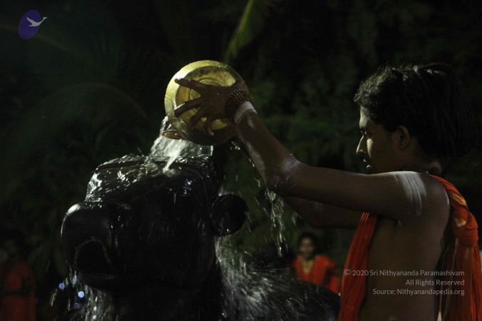 20171115 Photo 1239 1kInK9H9YC-U5sBOWw vFhEEh3DJyFW o.JPG