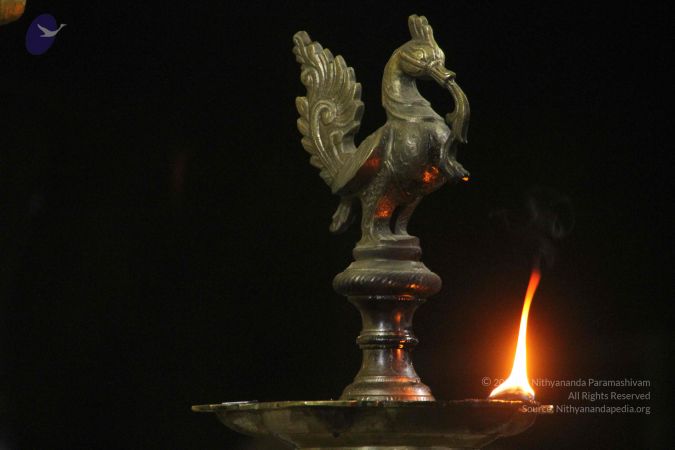 20171115 Photo 1243 1N32AIw8w8SKyB vrPQmA33pT1dvE3RkL.JPG