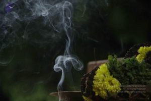 20171115 Photo 1245 1pV5zRfxVlVqUkmsWafY D5RAc 8F8Kqh.JPG