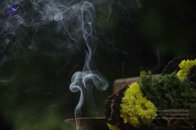 20171115 Photo 1245 1pV5zRfxVlVqUkmsWafY D5RAc 8F8Kqh.JPG