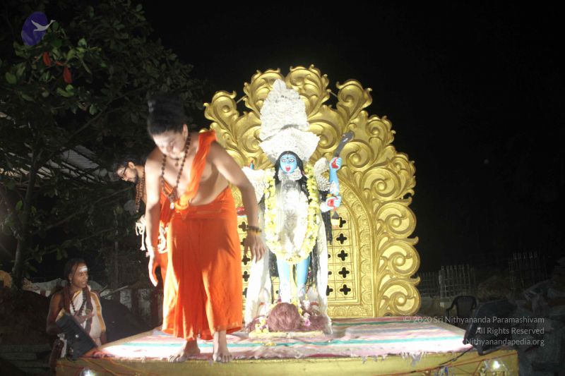 File:20171115 Photo 1371 16zOBrU17aIvBCgt0ZPuw1nqvVK10lkkt.JPG