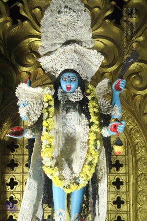 20171115 Photo 1378 10hnkMdab34aUMiSWY15jErykcbUWXfRk.JPG