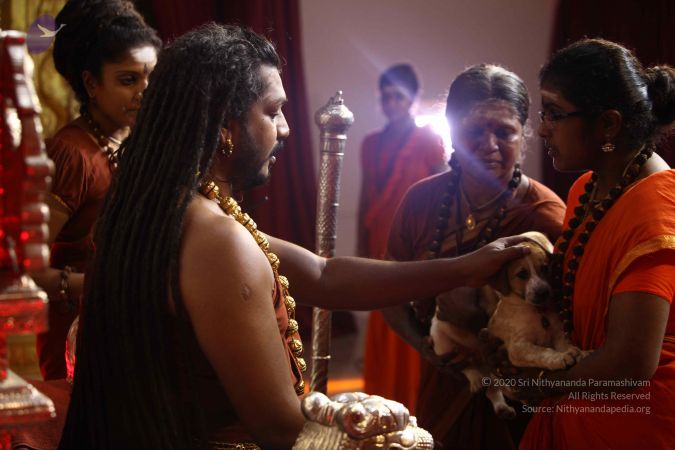 20171119 Photo 1018 1L 8xMTE5tNHDBiMDbQrrQAml1bV2j3n .JPG