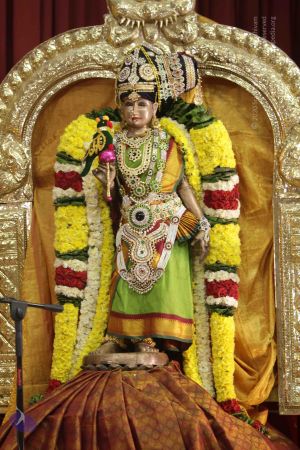 20171124 Photo 1064 1jEu0V8AtXW11TKcsM4qZxbW -zN MNeT.JPG