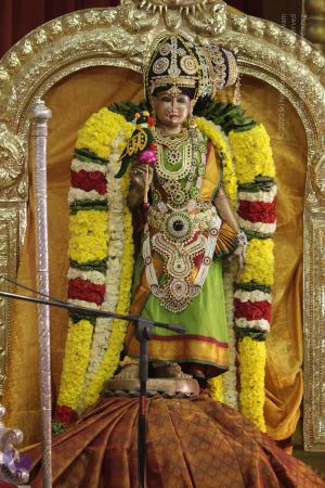 20171124 Photo 1108 1h8gbU-Pn9WTXcTgESHT NXnJhxLEDfhE.JPG