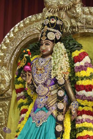 20171125 Photo 1008 1OnzmZQr5ev2HiX3uxZt5qNFJy3Cl l38.JPG