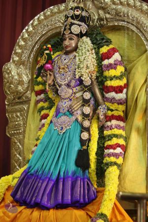 20171125 Photo 1009 1WL8Qu5CEEekLHOduaEVDbBoRyDf8RrxS.JPG