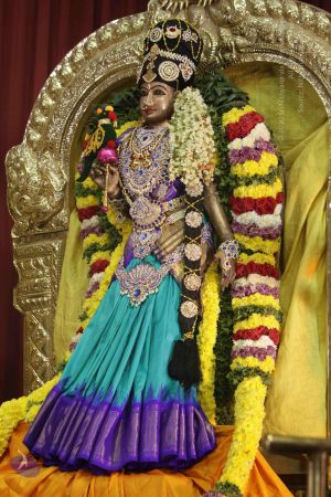 20171125 Photo 1010 1xKvIRP33RTAa1mFgfrwEkAMf3jjKwQbv.JPG