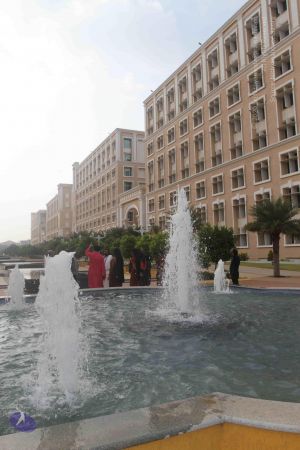 20171125 Photo 1035 15VwCreAjZZay2BKTaZnGeZ9em--Ndg C.JPG