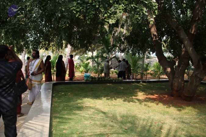 20171125 Photo 1050 1psRSmtK8Ji7o0GB4-nH5yVG85WdJNjYk.JPG