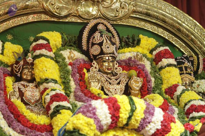 20171125 Photo 1055 15lPHw7tfUZaLg6JYUvXXO8FJ-oAuw81Z.JPG