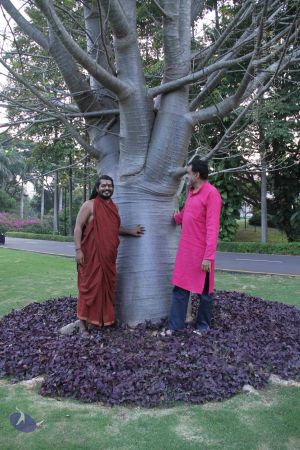 20171125 Photo 1071 19LxUlrKLLLDvEdXnQt-Q8j7Rth2bA2TF.JPG