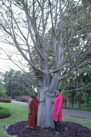 20171125 Photo 1075 1icViVWfcfBiBnsZ2c82H7eXVCCcjBuJo.JPG